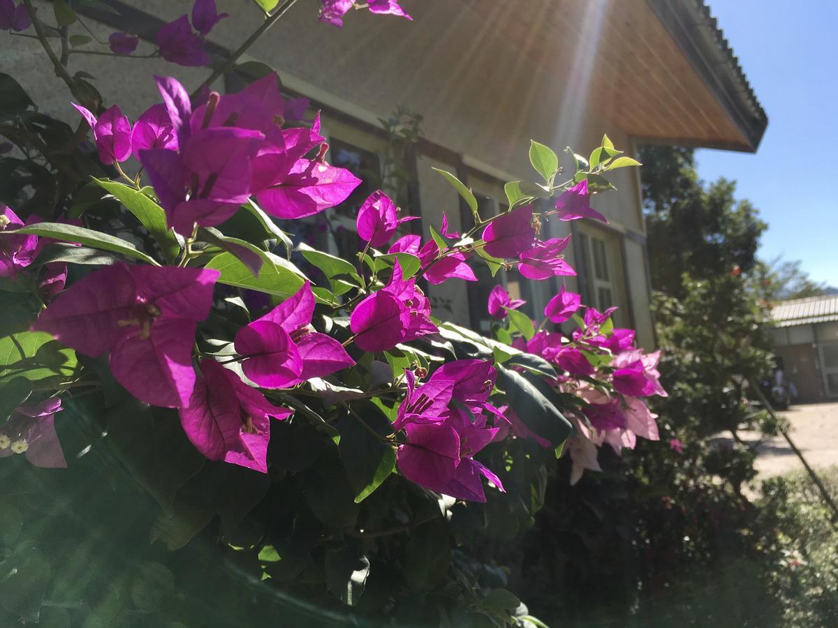 Champs Yazuh B&B Jiji Buitenkant foto